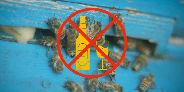 Propolis bezalkoholowy – w różnych postaciach